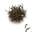 Twigs wood wooden bush stick park grass thicket shrub