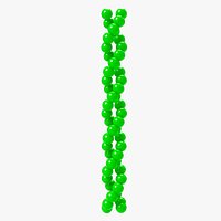 Actin filament structure