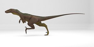 raptor 3d 3ds