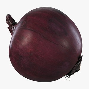 4K Red onion 3D model