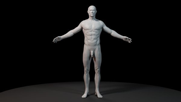 3d max anatomy man