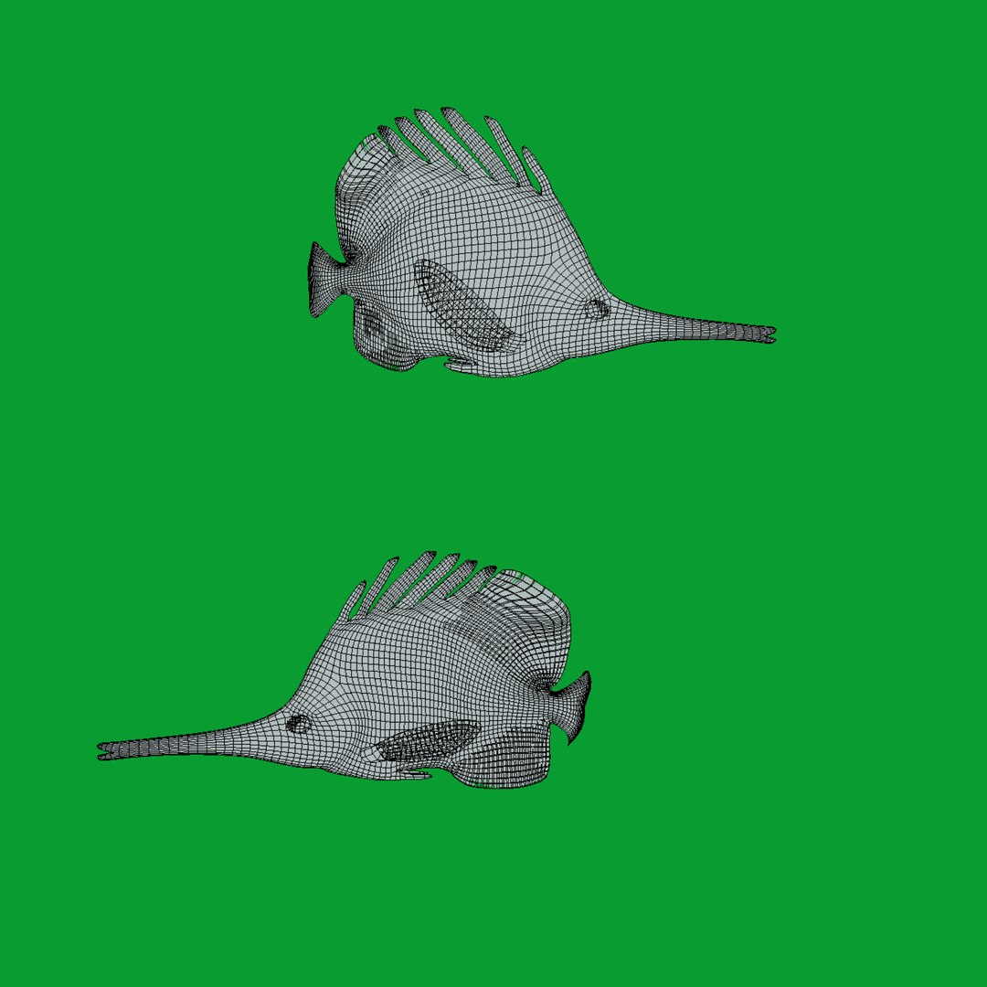 3D Longnose Butterfly Fish model https://p.turbosquid.com/ts-thumb/wy/Bv3fcg/JH/wire/png/1741188159/1920x1080/fit_q87/d61bcee12197ac57c870d8b295aa45c62048fd2c/wire.jpg