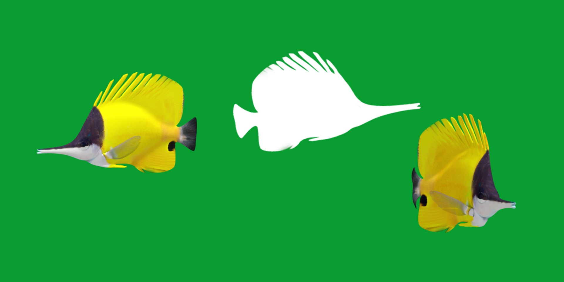 3D Longnose Butterfly Fish model https://p.turbosquid.com/ts-thumb/wy/Bv3fcg/QJ/butterflyfish7/png/1741188141/1920x1080/fit_q87/fdad2b4c32a024b82578c60bc6699f02521418e8/butterflyfish7.jpg