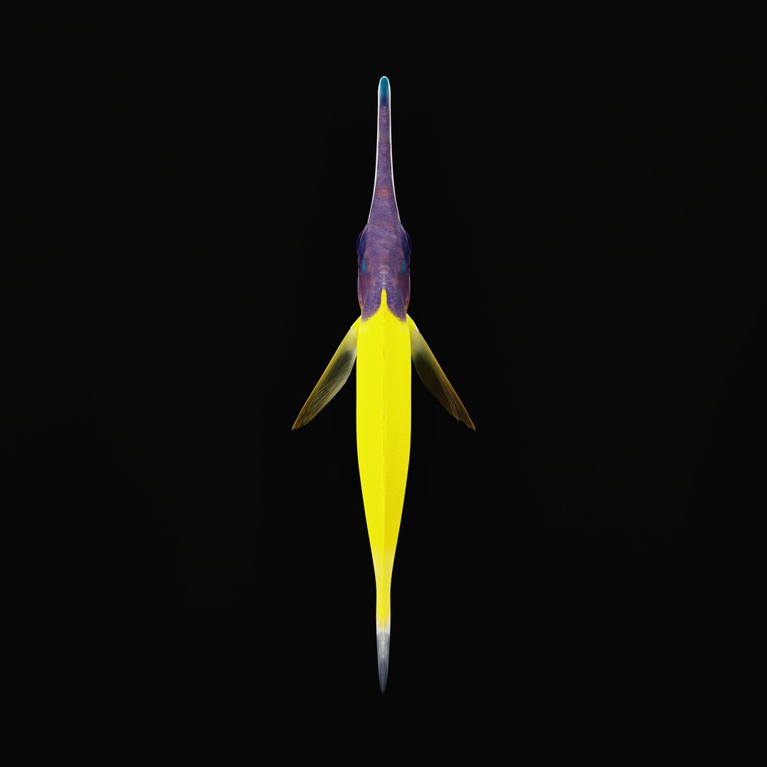 3D Longnose Butterfly Fish model https://p.turbosquid.com/ts-thumb/wy/Bv3fcg/p2/longnosebutterflyfishrig_0003/jpg/1741188159/1920x1080/fit_q87/63fdb3a3aeb3791f0b8ebe784ab3c2ddba820dbb/longnosebutterflyfishrig_0003.jpg