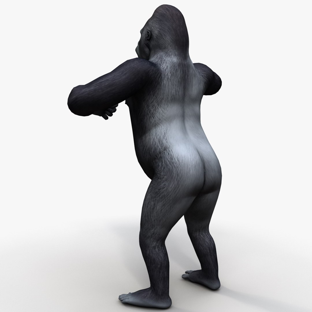 Gorilla nude