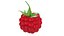 Raspberry collection