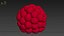 Raspberry collection