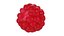 Raspberry collection