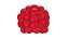 Raspberry collection