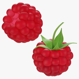 Raspberry collection 3D