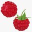 Raspberry collection