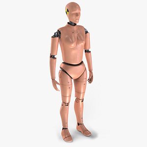 Woman Crash Test Dummy