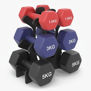 3D Fitness Dumbbells Storage with Dumbbells