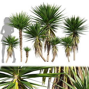 3D Collection plant vol 556 Corona 7 max 2011