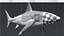 Great White Shark Rigged For Maya