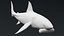 Great White Shark Rigged For Maya