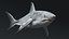 Great White Shark Rigged For Maya
