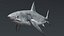Great White Shark Rigged For Maya