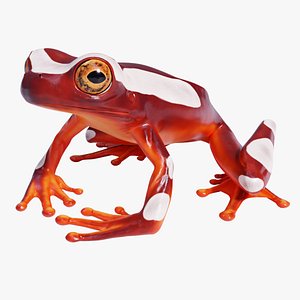 Clown Tree Frog - Animated 3D