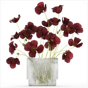 3D bouquet of wild flowers in a modern glass vase with Poppy 445