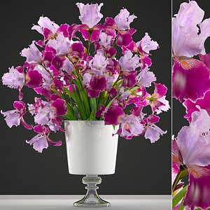 flower bouquet iris 3D model