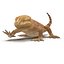 bearded dragon rigged 3d model