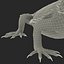 bearded dragon rigged 3d model