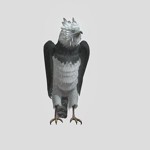 3D model eagle-harpy