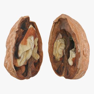 3D Open Half Walnut Shell Collection model