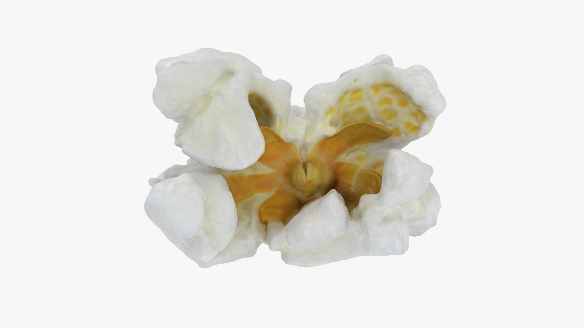 Popcorn 01 3D Model - TurboSquid 2255391
