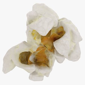 Popcorn 01 3D model