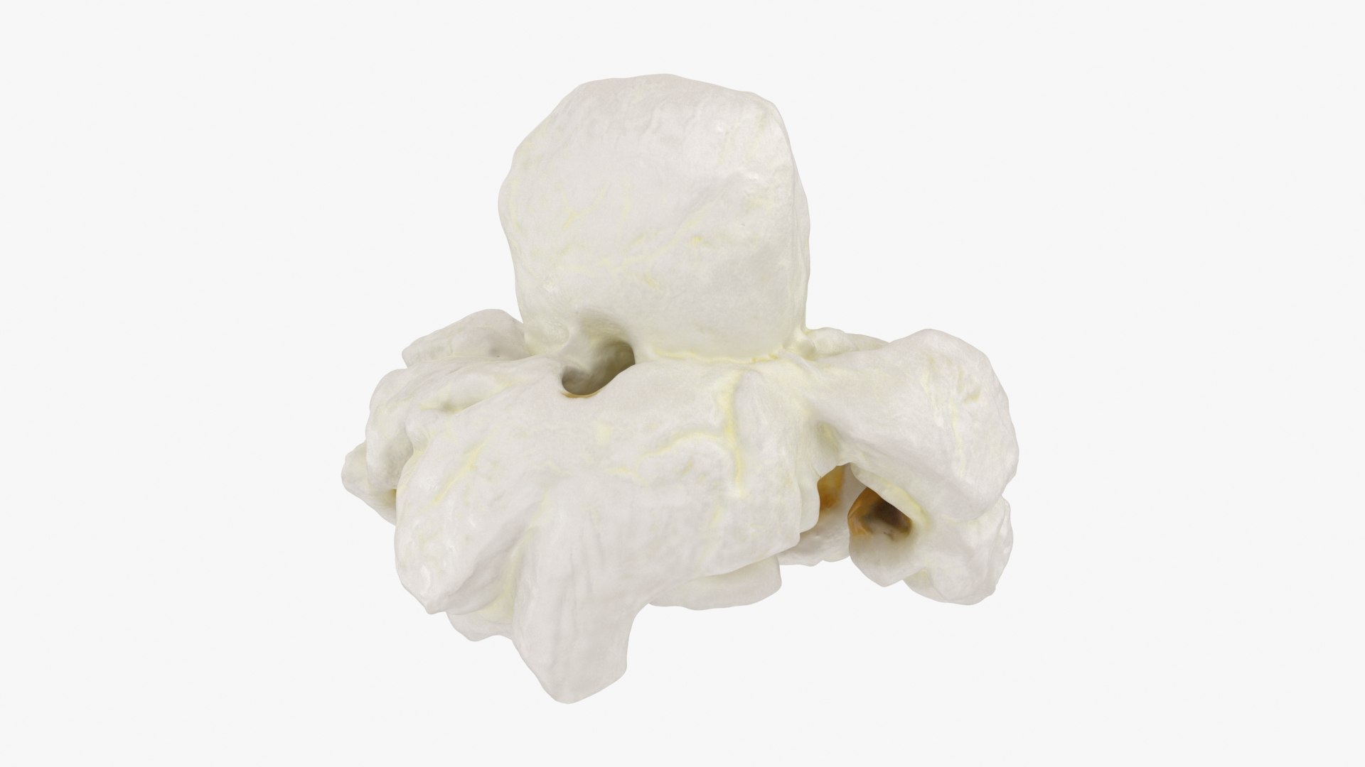 Popcorn 01 3D model https://p.turbosquid.com/ts-thumb/wz/m34Vcv/CS/popcorn1_b0010/jpg/1721378469/1920x1080/fit_q87/2457443b58ceab81a5ad7044137c092c7adf3114/popcorn1_b0010.jpg