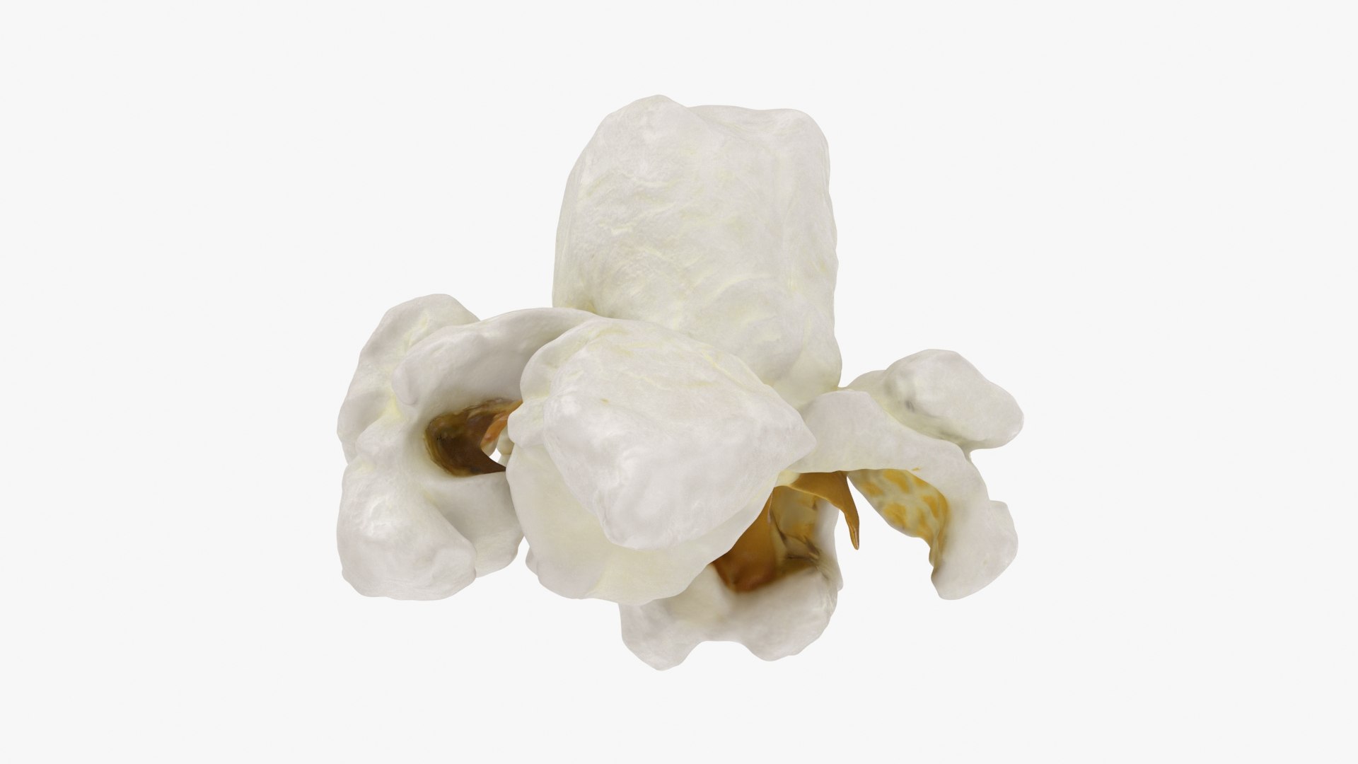 Popcorn 01 3D model https://p.turbosquid.com/ts-thumb/wz/m34Vcv/NV/popcorn1_b0004/jpg/1721378469/1920x1080/fit_q87/632e51a58e963897dab2c24303543a1afb7fec3a/popcorn1_b0004.jpg