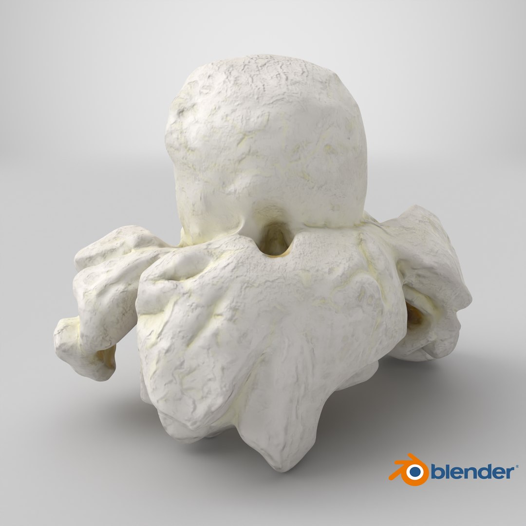Popcorn 01 3D model https://p.turbosquid.com/ts-thumb/wz/m34Vcv/Tc/stemcell_blender_cycles_render/png/1721674166/1920x1080/fit_q87/76367898463bc2b080aaed1f7ca515914c50e60a/stemcell_blender_cycles_render.jpg