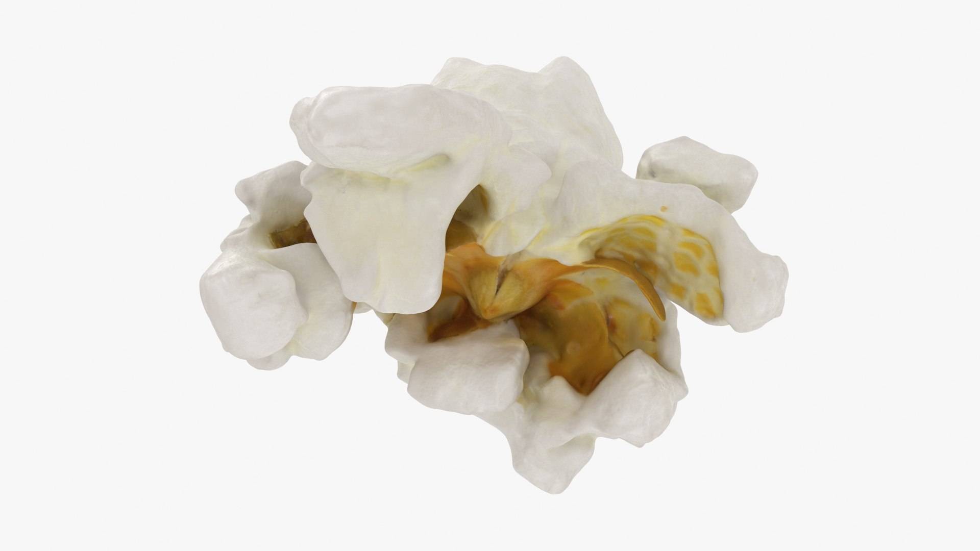 Popcorn 01 3D model https://p.turbosquid.com/ts-thumb/wz/m34Vcv/cf/popcorn1_b0012/jpg/1721378470/1920x1080/fit_q87/8b7ac01ec1406d2e8bcc7049179e5354bdc0e5a1/popcorn1_b0012.jpg