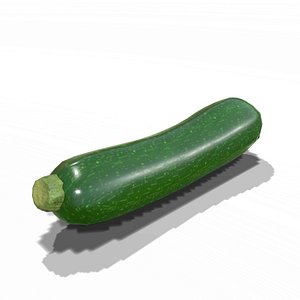3D Zucchini model