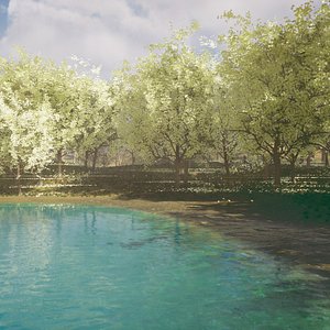 Forest Lake Oasis 3d scene landscape