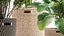 Ornamental plants in rattan baskets 1036