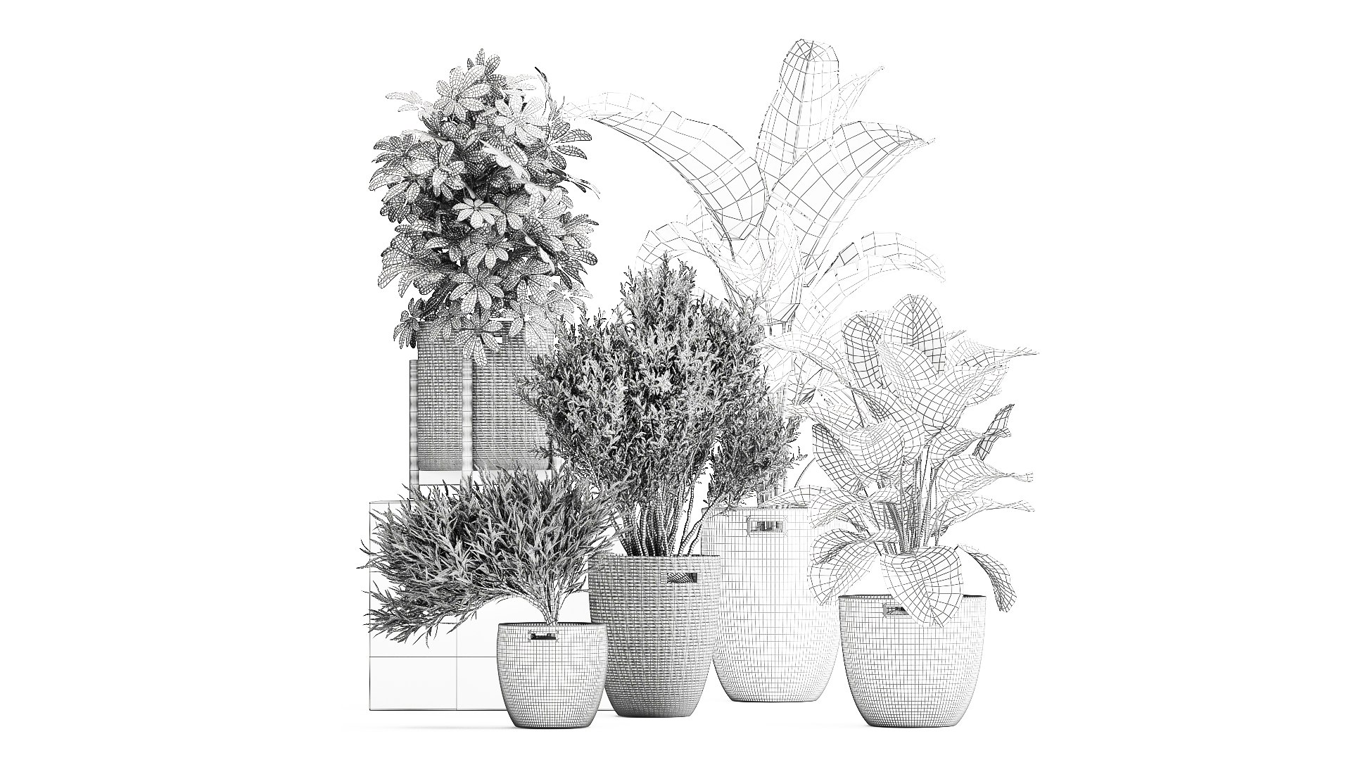 3D Ornamental plants in rattan baskets 1036 model https://p.turbosquid.com/ts-thumb/x0/ARVdiq/ZQ/1plants3008202109/jpg/1630405101/1920x1080/fit_q87/2f2af1076b0d962c9ad243895d1e4df33164e2d1/1plants3008202109.jpg