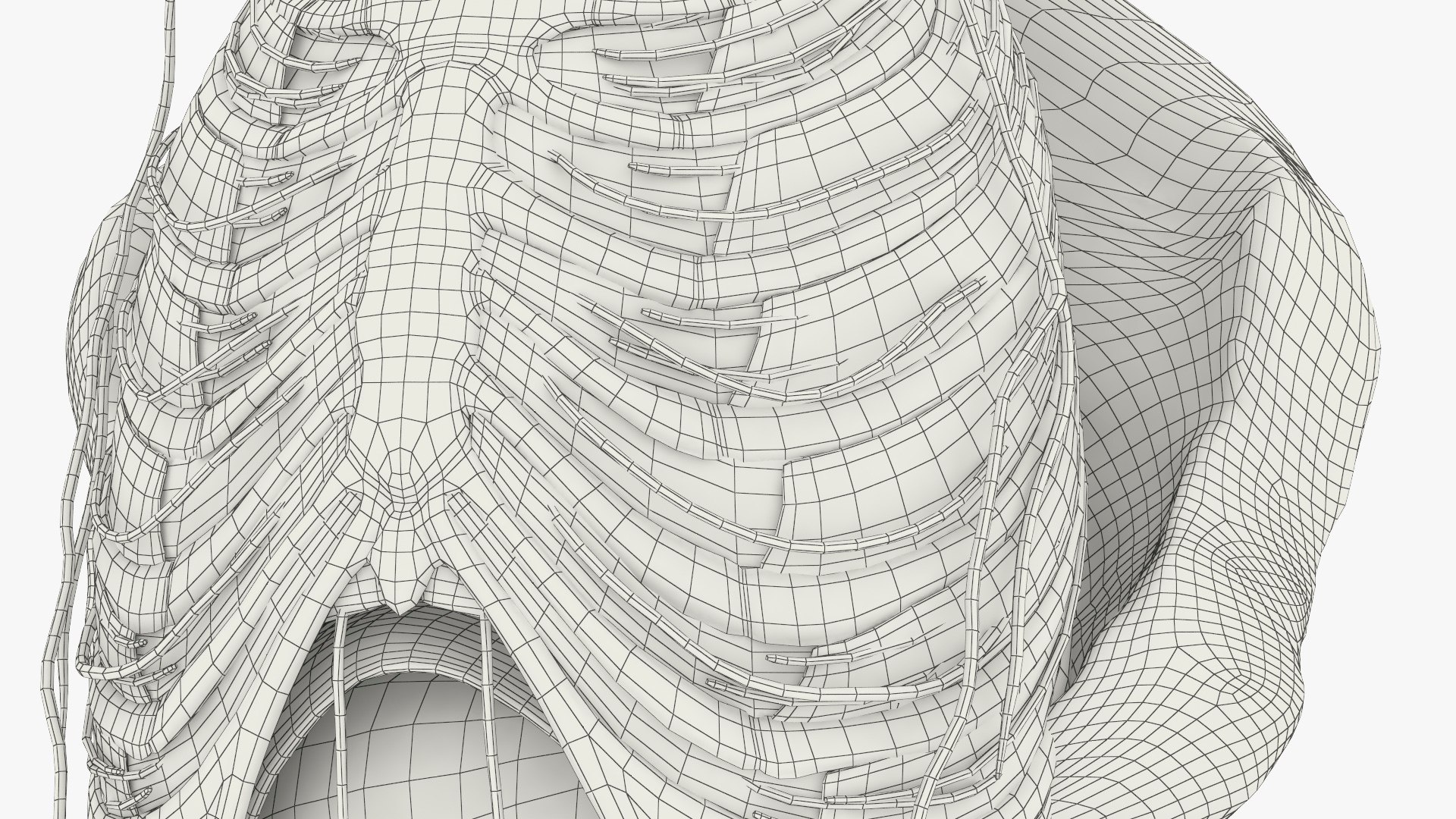 Anatomical Upper Body Display With Fat Pads And Arteries 3D Model ...