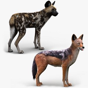 Wild Dog and Jackal Xgen Rig Bundle