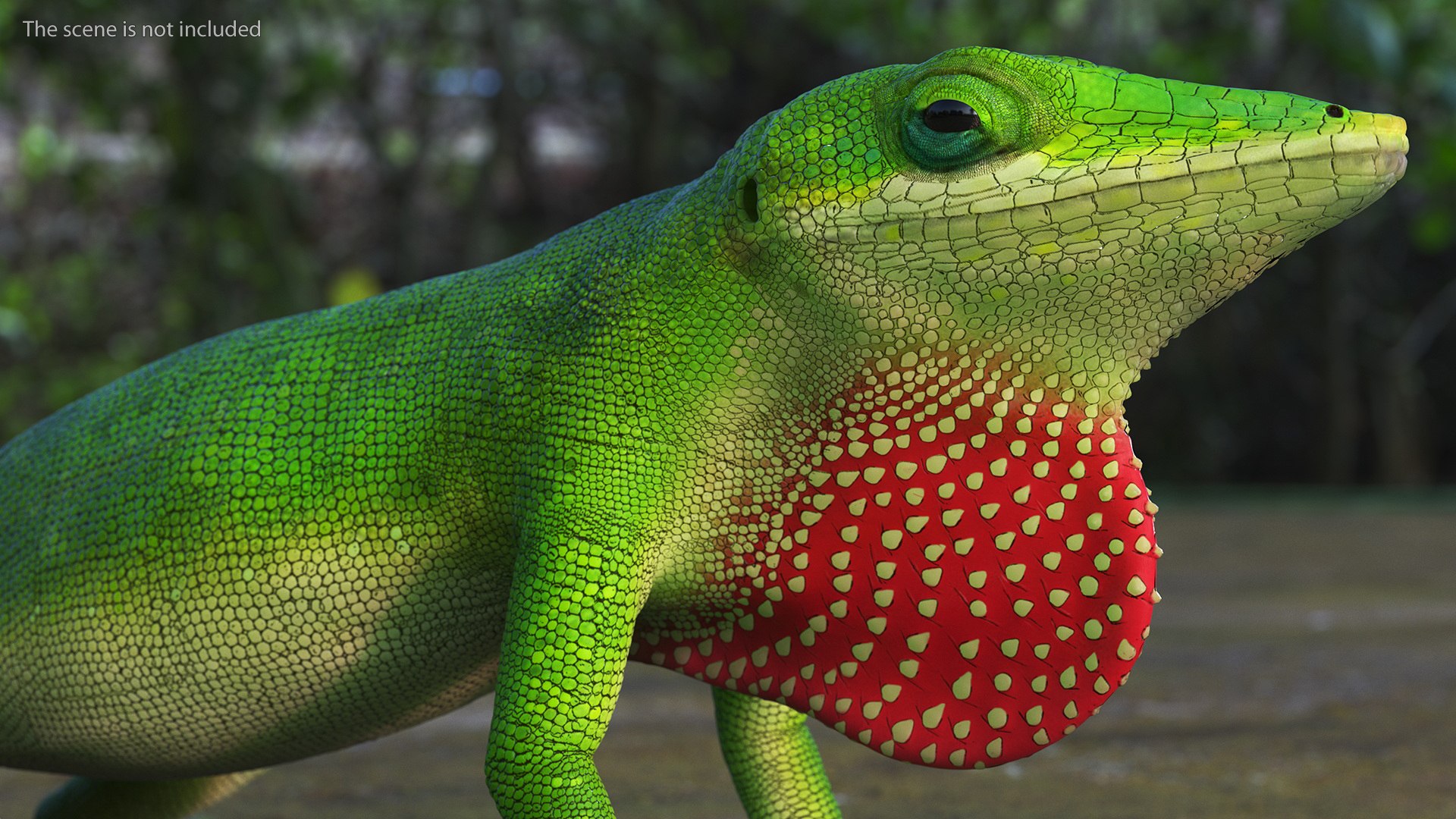 3D Carolina Anole Lizard Rigged For Cinema 4D Model - TurboSquid 2130752