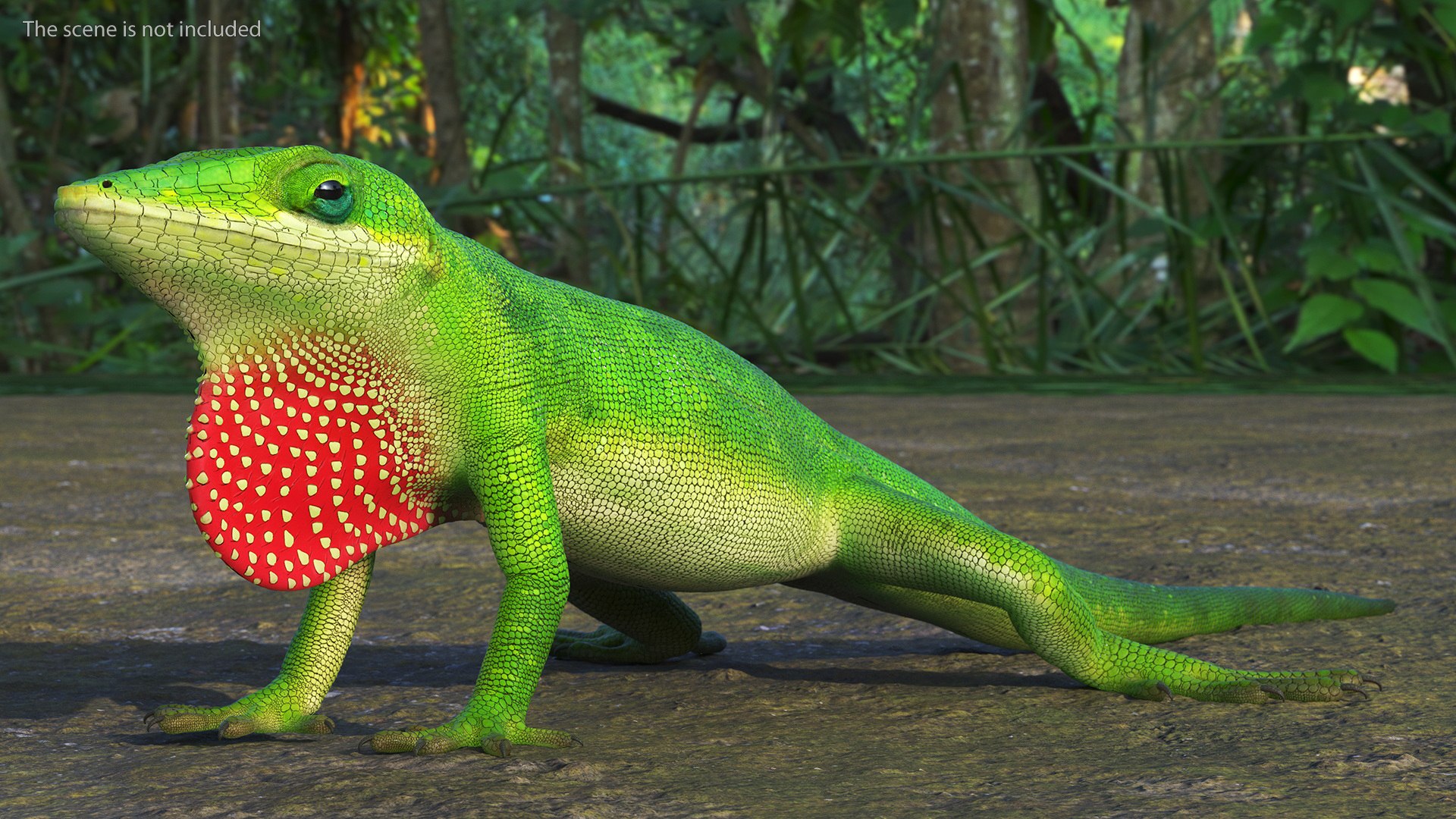 3D Carolina Anole Lizard Rigged For Cinema 4D Model - TurboSquid 2130752