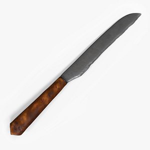 Old kitchen knife