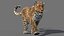 Pelliccia animata leopardo