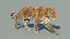 Pelliccia animata leopardo
