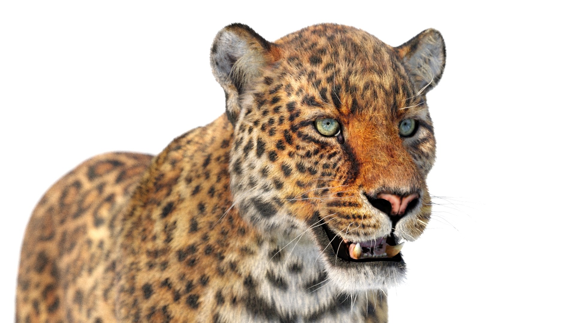 Leopard Animated Fur model https://p.turbosquid.com/ts-thumb/x0/VnAZgo/fr/leopard_3d_model_animated_fur11/jpg/1642536208/1920x1080/fit_q87/a349685ac37d887585d458659875e0d23fde30da/leopard_3d_model_animated_fur11.jpg