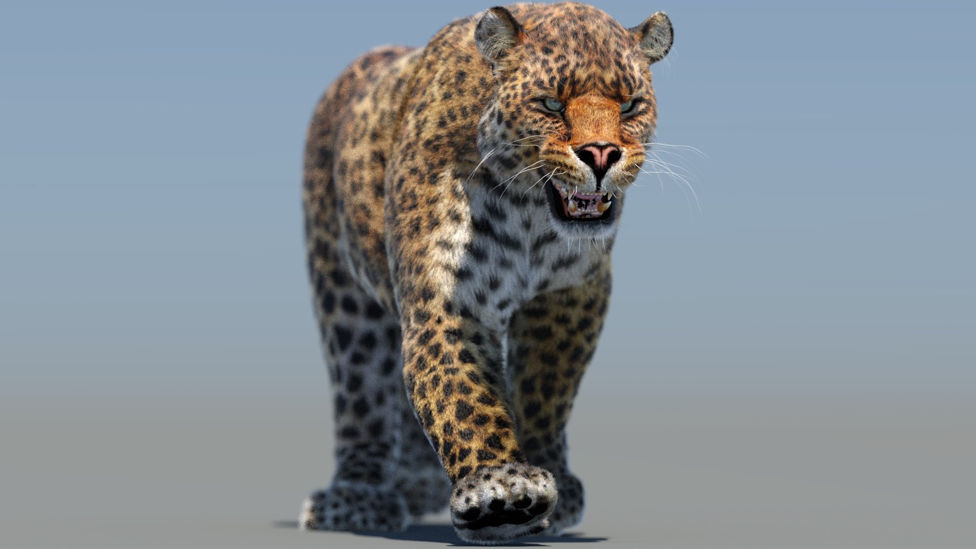 Leopard Animated Fur model https://p.turbosquid.com/ts-thumb/x0/VnAZgo/zc/leopard_3d_model_animated_fur01/jpg/1690756377/1920x1080/fit_q87/a462277283c0053ebe097ef55e432ad9e7d3df5f/leopard_3d_model_animated_fur01.jpg