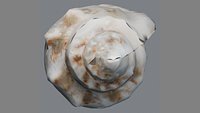 Seashell Sculpture 3D Model - Decorative Shell Form for Garden Park and Poolside Landscape