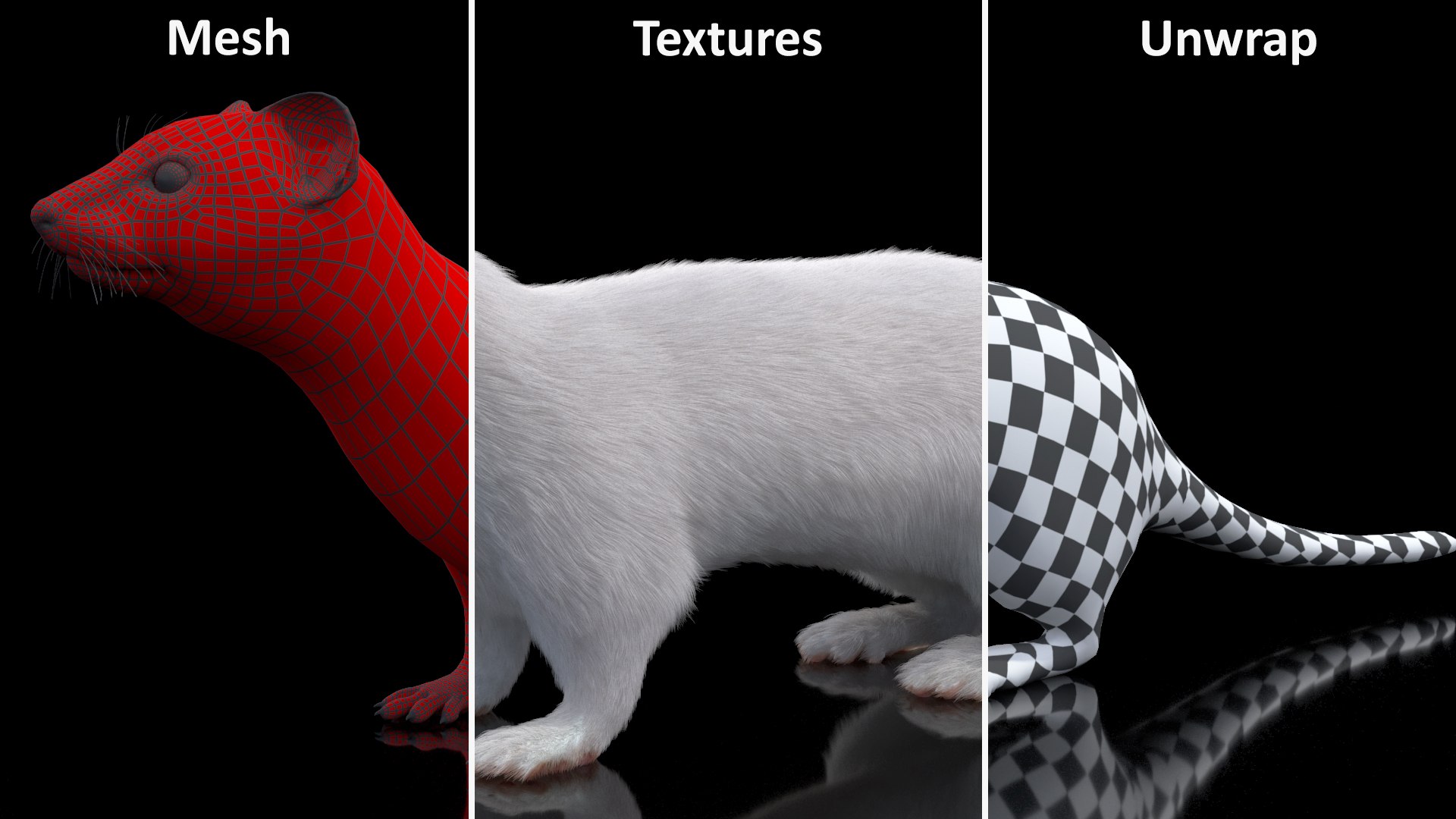 Ermine Winter Coat Fur 3D model https://p.turbosquid.com/ts-thumb/x0/XzL3fe/93/erminewintercoatfurmb3dmodel018/jpg/1710935612/1920x1080/fit_q87/e62885186ddc1db775c43d869c198f11a3f4fbd8/erminewintercoatfurmb3dmodel018.jpg